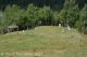 Coldstream Pioneer Cemetery_2024