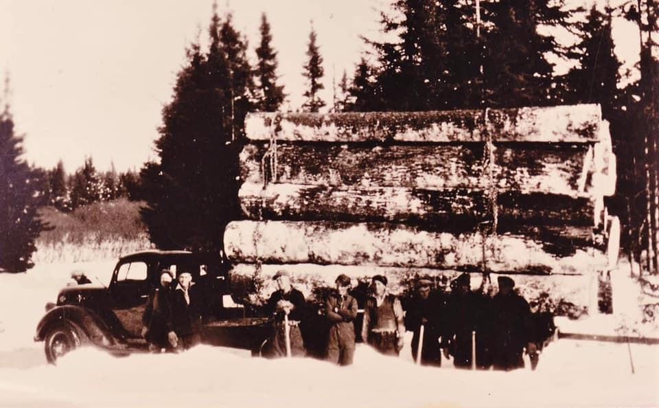 GCC-Logging-in-winter