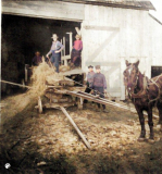Farming-in-Glassville-area-Colorized