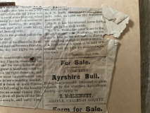 Miscellaneous from the Glassville News