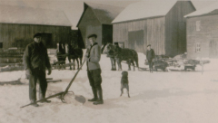 On the farm in winter