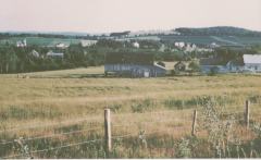 Millie-Home_Glassville_1861-1942