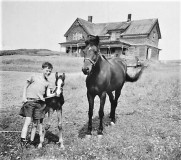 Glassville-Boy-with-Horses