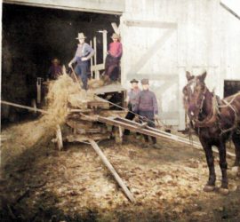 Farming in Glassville area